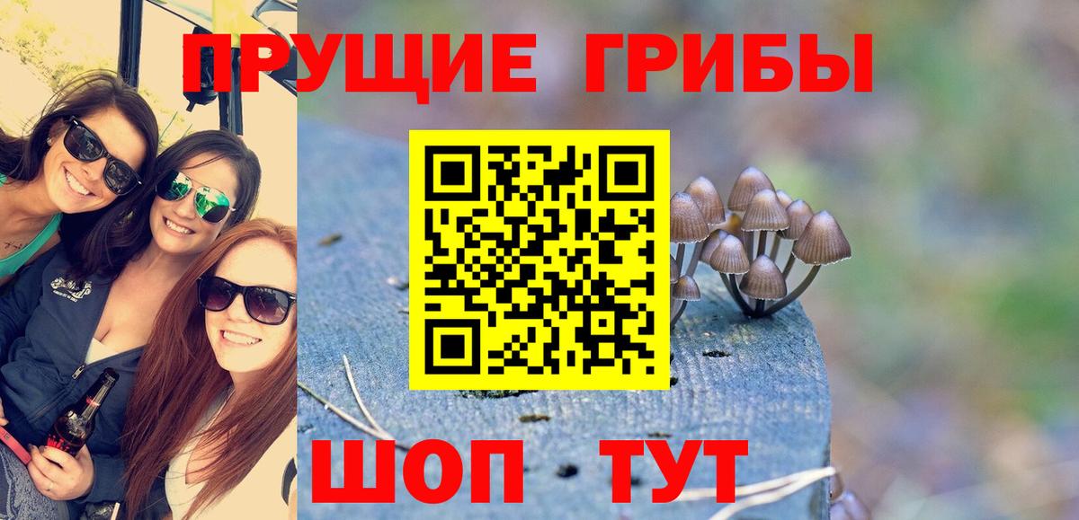 Галлюциногенные грибы мухоморы  Псилоцибиновые грибы MAGIC MUSHROOMS  Вход с VPN  Сафоново 